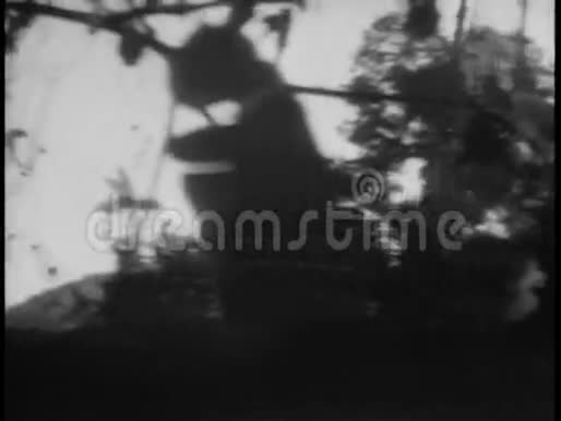 宽镜头猴子从藤本摆动视频的预览图