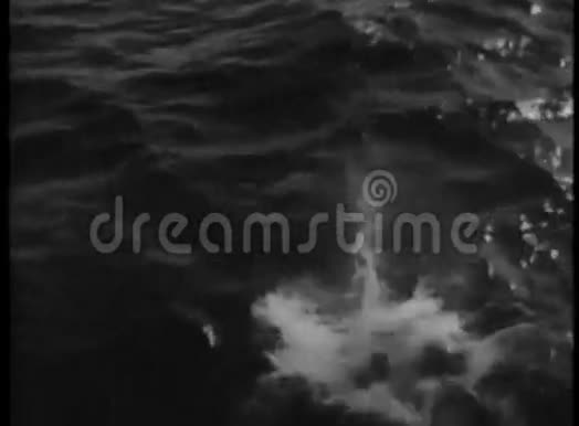 一个人跳进水里游去视频的预览图