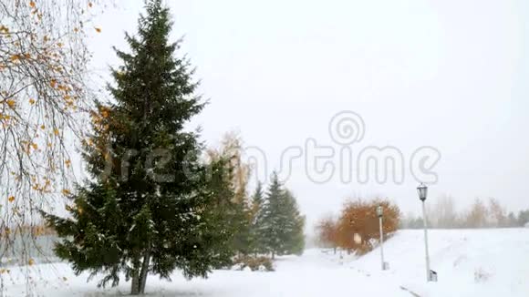 深雪时公园小巷树在冬天4k视频的预览图
