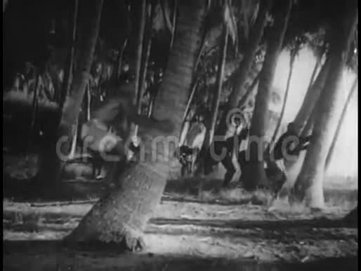 波利尼西亚人爬上棕榈树视频的预览图