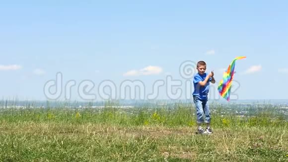 小男孩喜欢用放风筝走路玩自然野餐视频的预览图