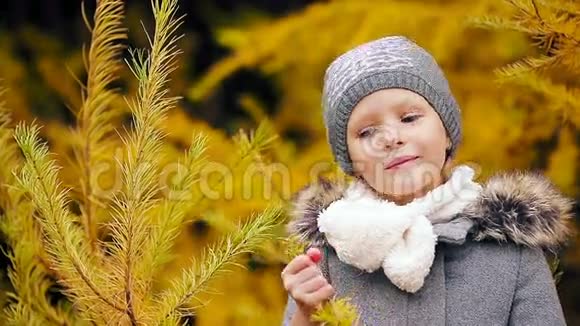 秋天美丽的女孩背景黄树的肖像视频的预览图