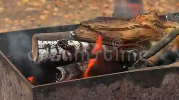 在火盆里烧木头和煤厨师用扑克牌准备烤肉串和烤肉和鱼视频的预览图