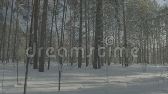 汽车在冬天的森林路上行驶雪地里的汽车视频的预览图