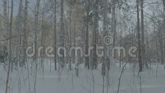 汽车在冬天的森林路上行驶雪地里的汽车视频的预览图