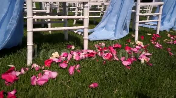 白色玫瑰花瓣在开放的乡村举行婚礼在大自然中夏天温暖的天气视频的预览图