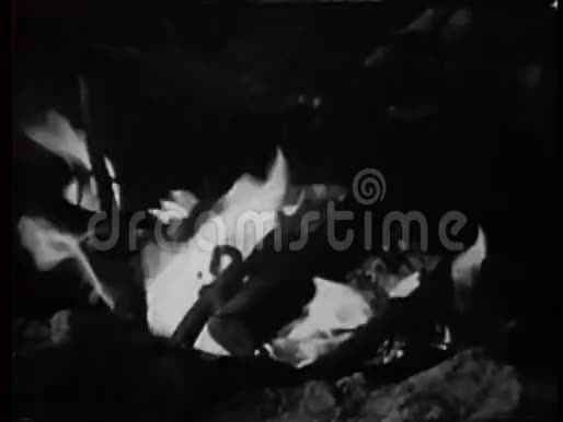 特写镜头向火中加入树枝视频的预览图