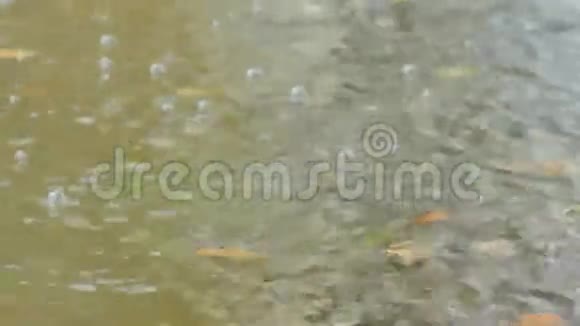 特写镜头雨水在水面上视频的预览图
