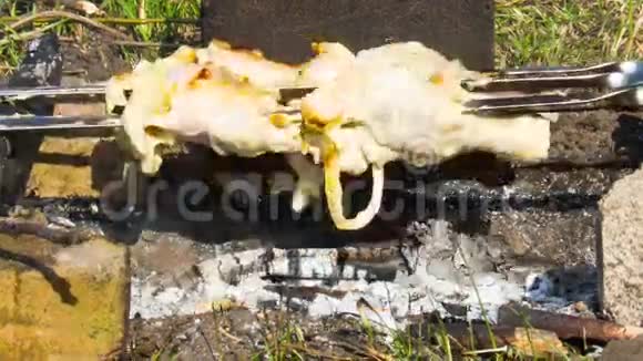 在大自然的火上烤鸡串时间流逝视频的预览图