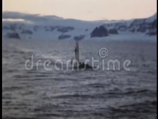 北极水域的海底表面视频的预览图