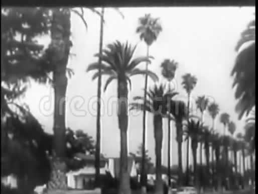 20世纪50年代的汽车沿着绿树成荫的道路和公路行驶视频的预览图
