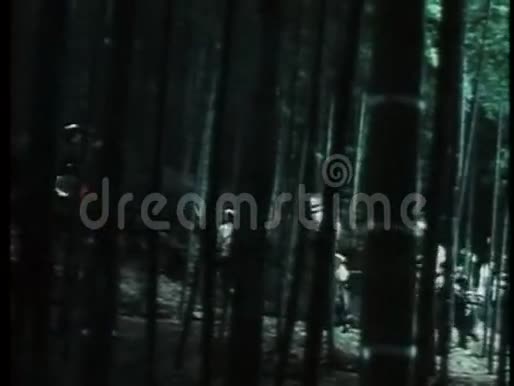 日本战士在森林里跋涉视频的预览图