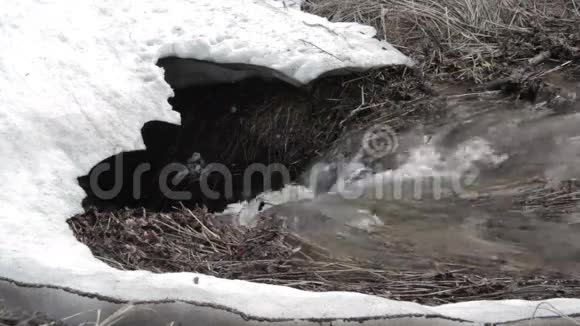 山河瀑布在春天视频的预览图