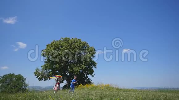 小男孩和小女孩在自然野餐中享受骑着风筝散步的乐趣视频的预览图