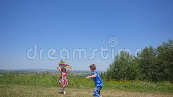 小男孩和小女孩在自然野餐中享受骑着风筝散步的乐趣视频的预览图