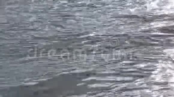 水在河里流得很顺畅视频的预览图