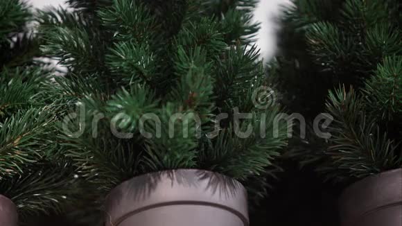 新建小型盆栽圣诞树视频的预览图