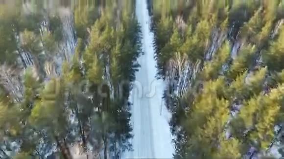汽车在树林里的飞行开在森林路上冬天视频的预览图