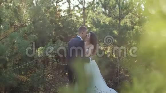 婚礼当天这对夫妇在松林边上的新郎新娘视频的预览图