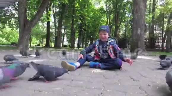 男孩在人行道上的公园里喂城市鸽子视频的预览图