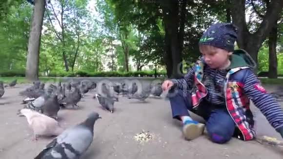 男孩在人行道上的公园里喂城市鸽子视频的预览图
