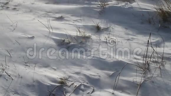 风在阿布鲁佐的山上吹雪视频的预览图