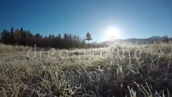 秋天在田野上徘徊在冰和霜覆盖的草地上视频的预览图