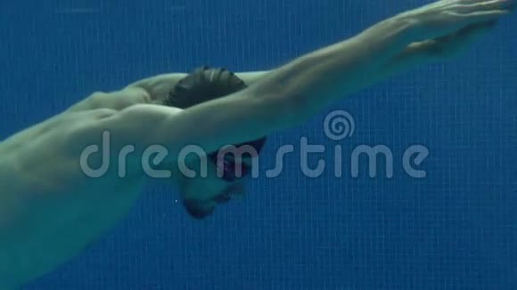 游泳游泳的男性游泳者在游泳池水下游泳视频的预览图