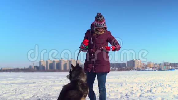 有魅力的女孩在冰冻的河流中以城市景观为背景与她的哈士奇狗玩耍视频的预览图