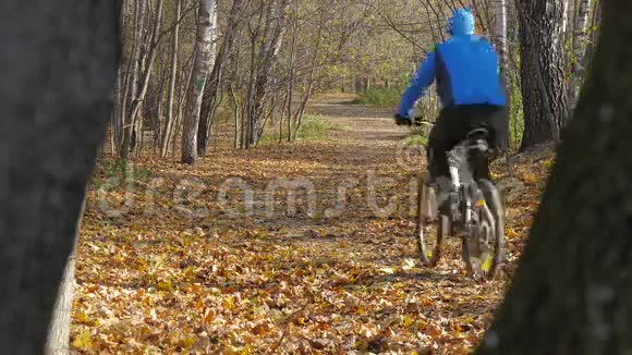 一个骑自行车的人骑在公园的一条小路上在一个美丽的阳光明媚的日子里视频的预览图