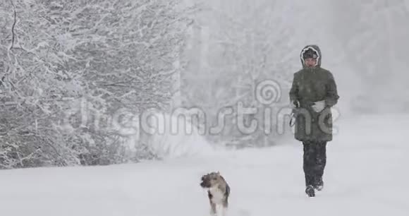 年轻美丽的白种人女孩穿着夹克在雪地里的冬天森林里玩混合品种狗的小狗视频的预览图