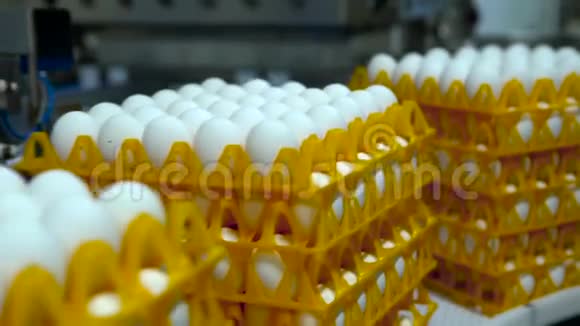鸡蛋经过生产线慢动作视频的预览图