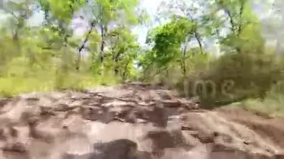 春天森林里的赛车视频的预览图
