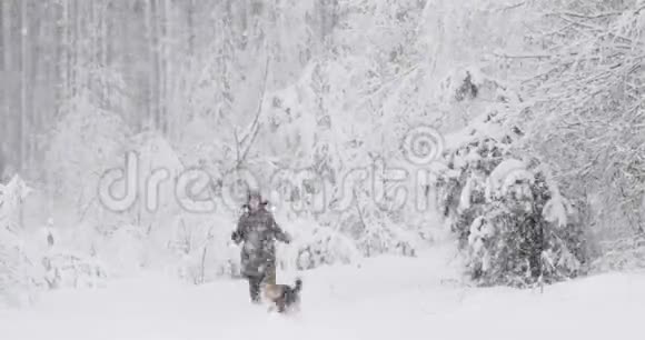 年轻美丽的白种人女孩穿着夹克在雪地里的冬天森林里玩混合品种狗的小狗视频的预览图