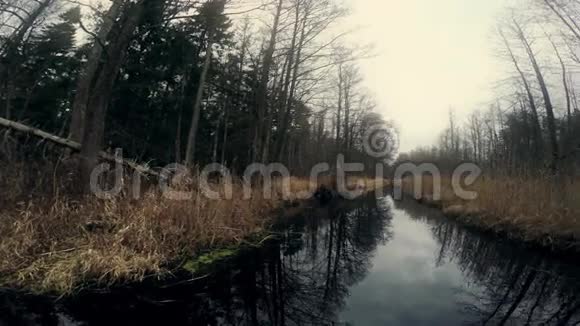 深秋森林中的溪流视频的预览图
