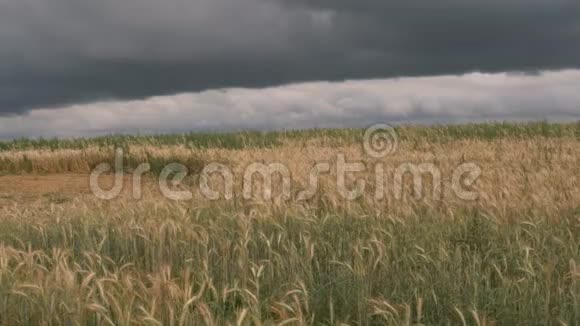 乌云笼罩着一片黄色的谷地视频的预览图