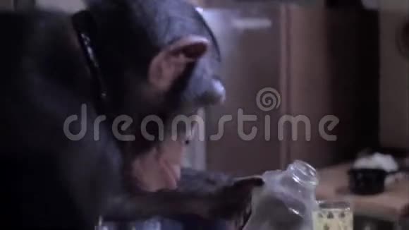在厨房里倒猴子喝果汁视频的预览图