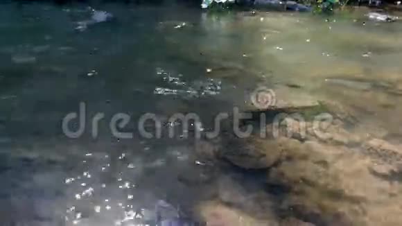 美丽的山河里的水慢慢地流过一块大石头视频的预览图