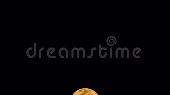 夜晚满月视频的预览图