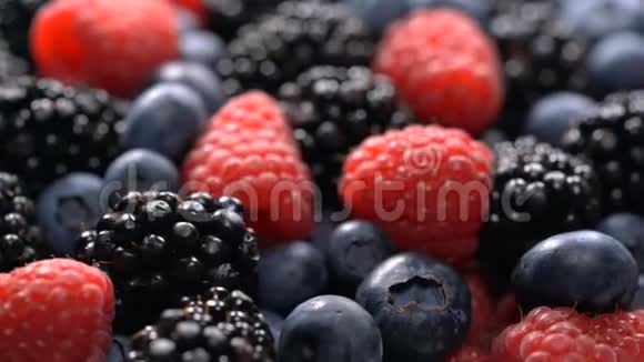 新鲜的覆盆子黑莓和蓝莓视频的预览图