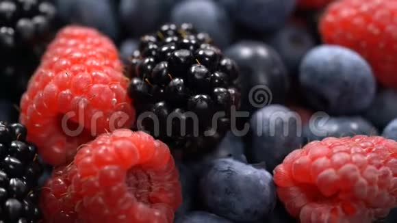 新鲜的覆盆子黑莓和蓝莓视频的预览图