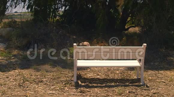 白色长凳放置在农村地区视频的预览图