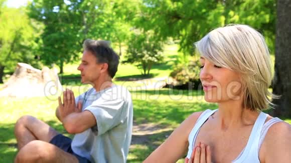 在公园一起做瑜伽的情侣视频的预览图