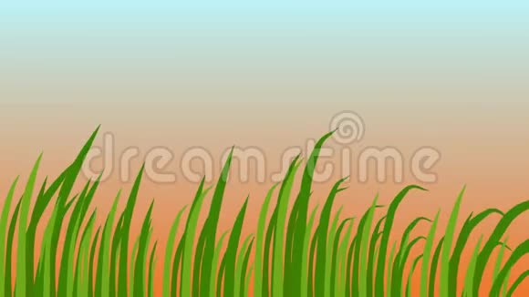 草叶随风摇曳美丽的日出背景三维动画视频的预览图