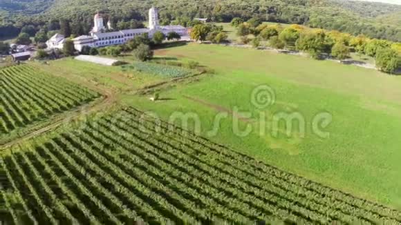 美丽的葡萄园景观以修道院为背景鸟瞰视频的预览图