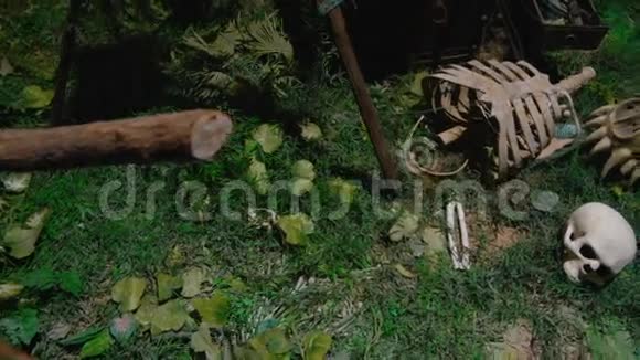 人类仍然留在高森林里迪纳豪斯丛林视频的预览图