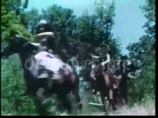 野蛮人骑着马在田野里充电视频的预览图