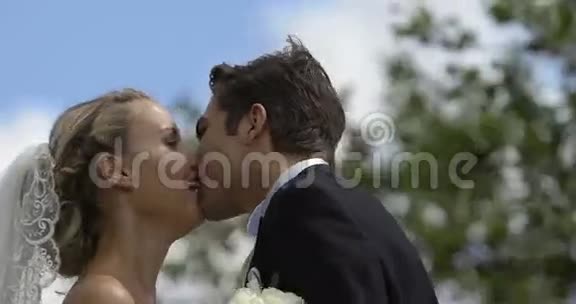 在刮风的日子里一对新婚夫妇在外面接吻视频的预览图