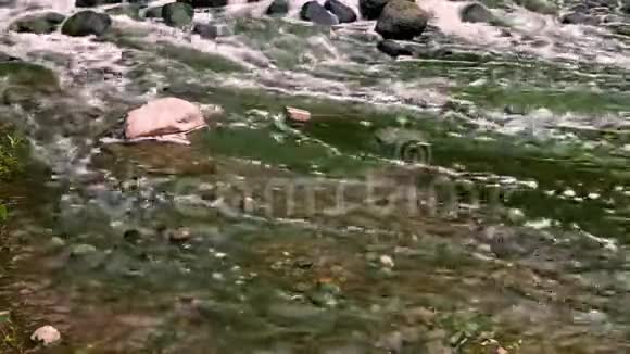 城镇污水排放污水混合区河流污染城市垃圾场山涧和瀑布视频的预览图