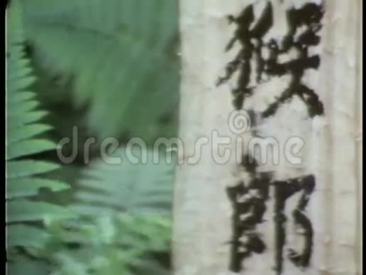 在中国墓地哀悼的哀悼者视频的预览图